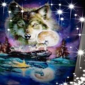 Meet your Posher, Joy